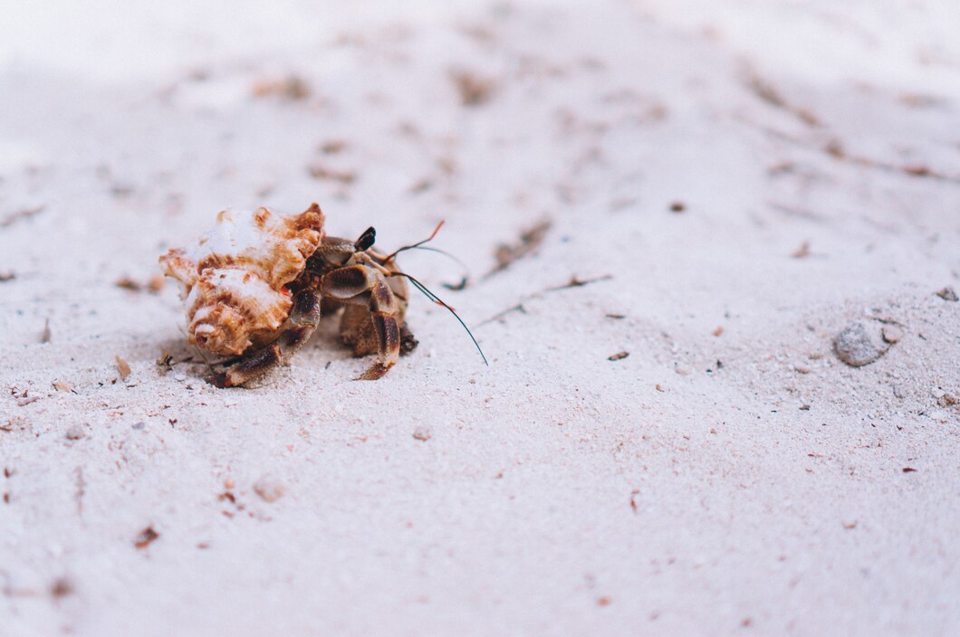 sugar ants in bathroom under toilet