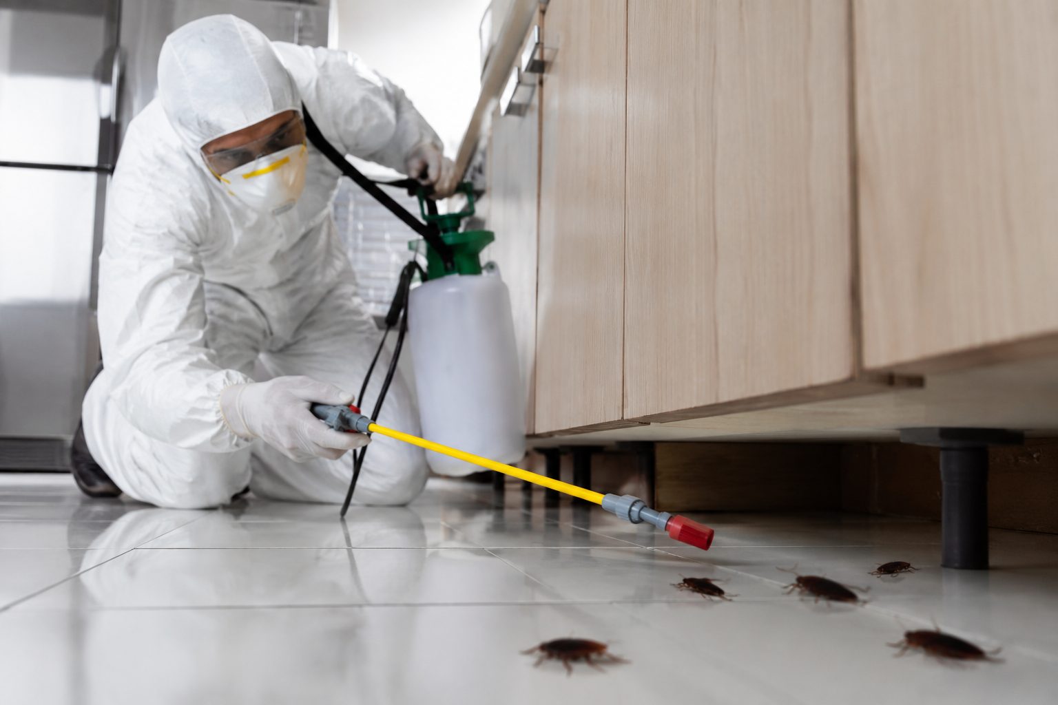 Cockroach Treatment Cost in Delaware