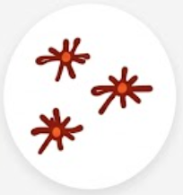 mos-icon-2